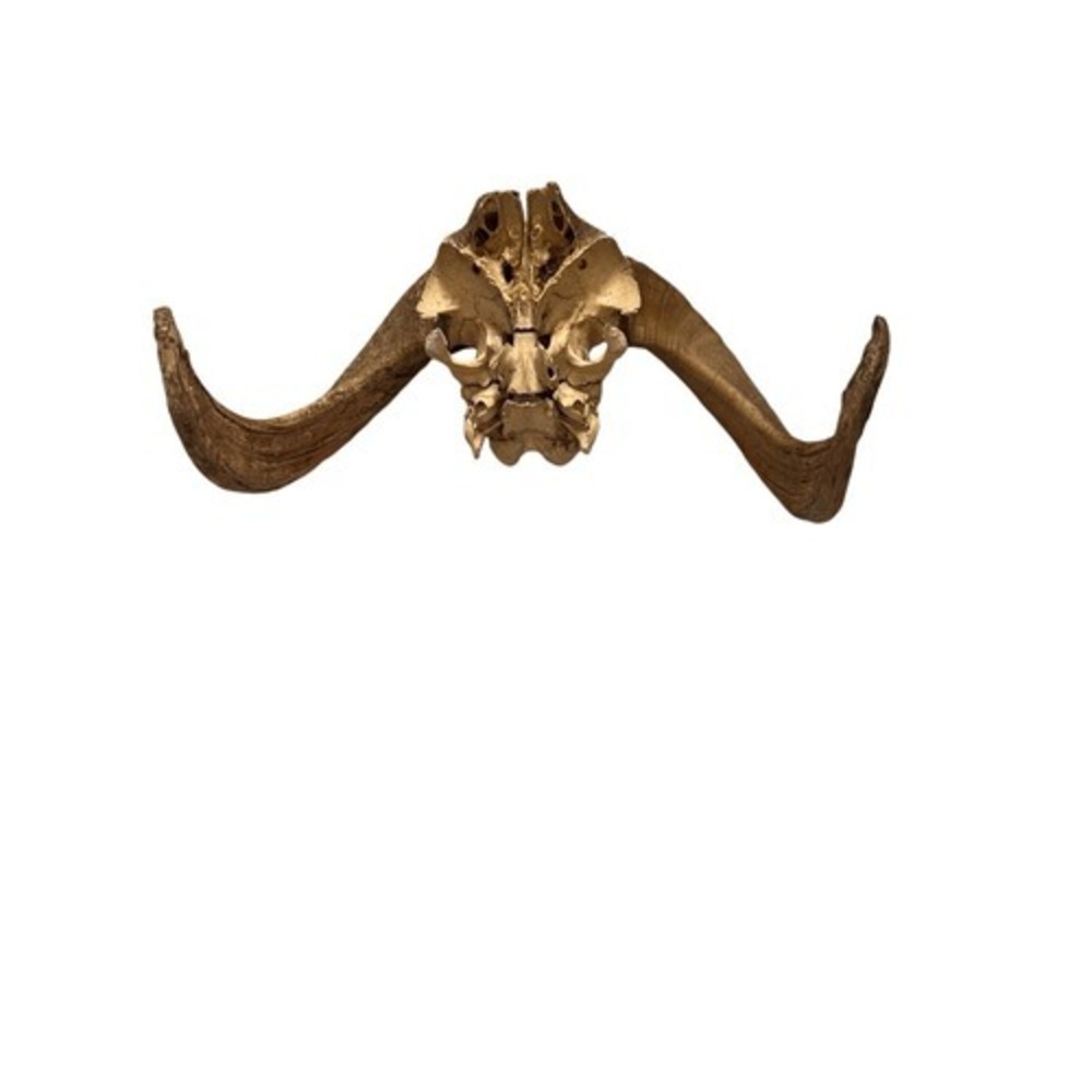 Sacred Vintage Native American Butte County Hand Painted OOAK Big Horn Ram Skull - Picture 8 of 8